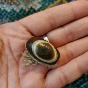 Vintage Agate Tibetan Dzi Bead "Eye of Heaven"